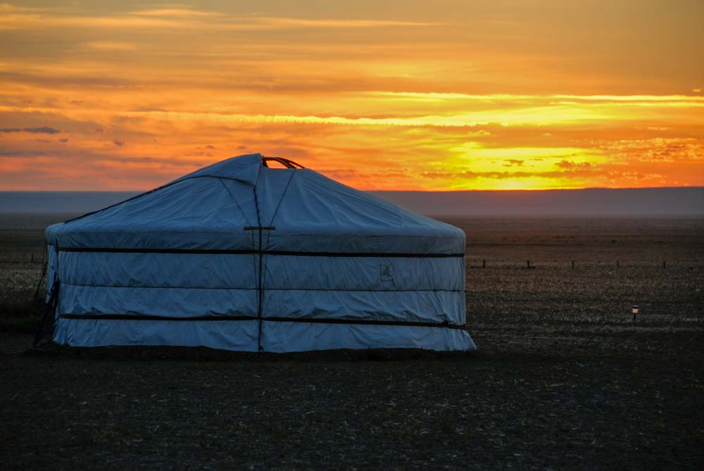Mongolian scene